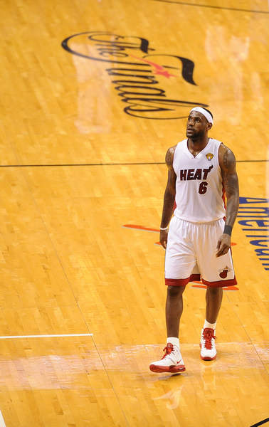 蜂开出高价 蜂开出高价